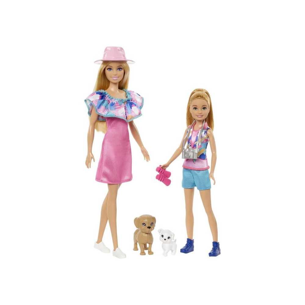 BARBIE AND STACIE BOX - BARBIE - HRM09