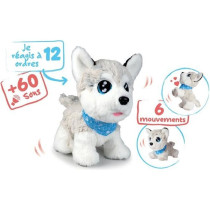 CCL HUSKY INTERACTIVE