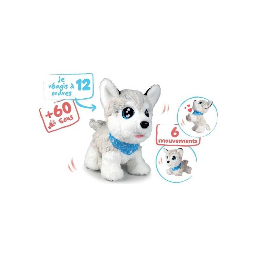 CCL HUSKY INTERACTIVE