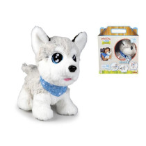 CCL HUSKY INTERACTIVE