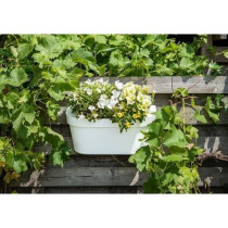 Planter + hook - GARDEN ID Star - White 50 x 21 cm - Easy fixing - Wat