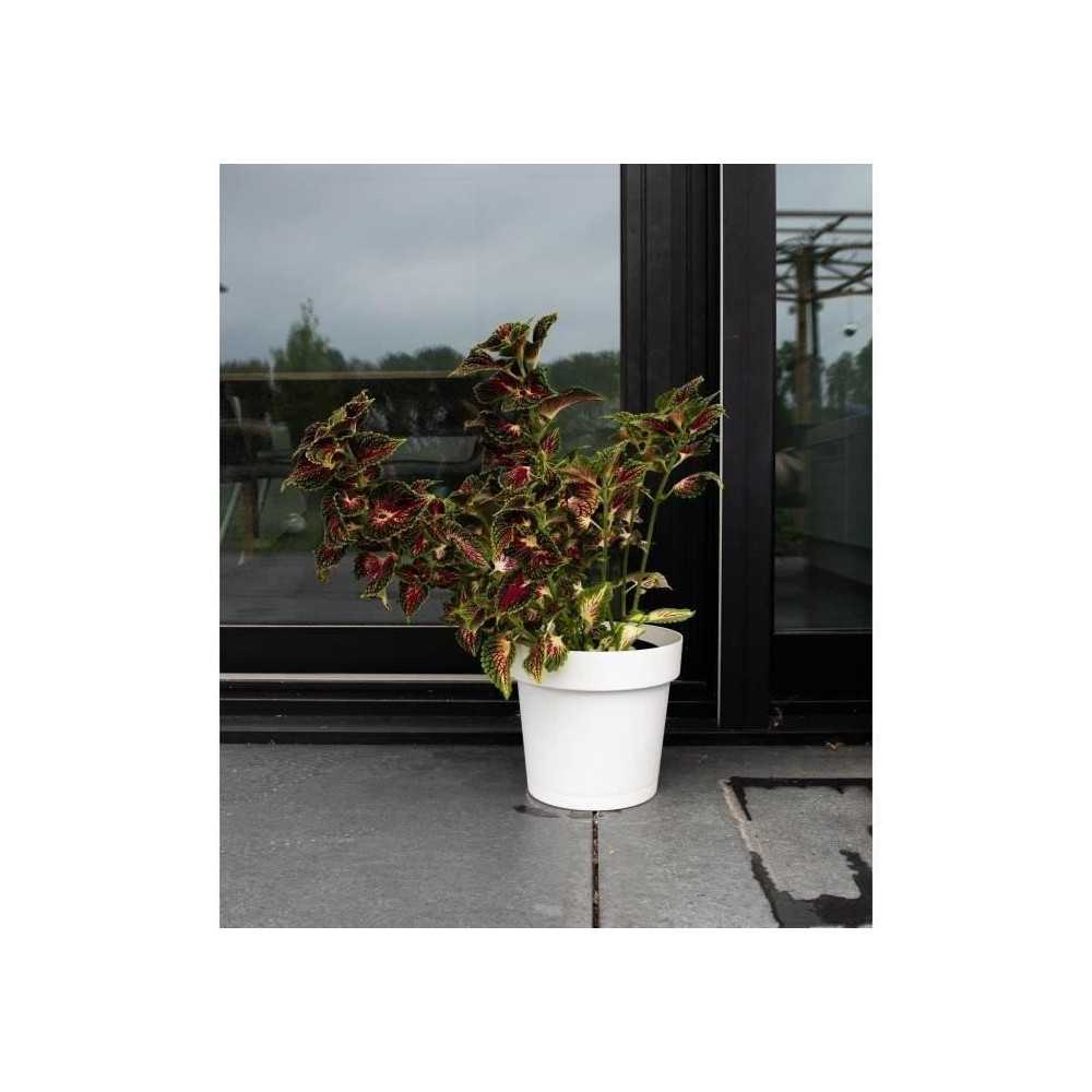 Water reserve pot - GARDEN ID Glamour - White 40 cm - Grainy surface -