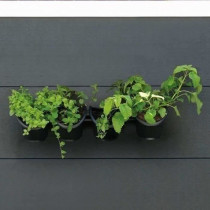 Wall planter - Wall kit consisting of a wall bracket and 4 pots (1 L)