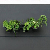 Wall planter - Wall kit consisting of a wall bracket and 4 pots (1 L)