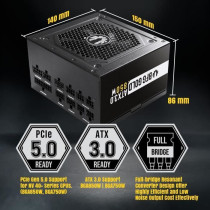 BITFENIX BFG GOLD 850W (80+ Gold) ATX 3.0 - PC power supply - 850W