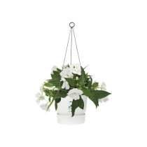 Elho flower pot to hang greenville 24 - exterior - Ø 23.9 x h 20.3 cm