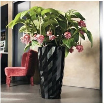 LECHUZA Diamante Premium Flowerpot - Complete Set, Glossy Black