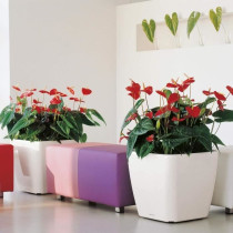 Flower pot - LEC - Quadro Premium LS 50 - glossy white - integrated ir