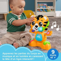 Fisher-Price-Link Squad Tiger Body Parts-Musical Developmental Toy HYL