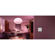 Philips Hue Wall switch module, white, works with Alexa, Google Assist