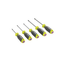 RYOBI - Jeu de 5 tournevis TORX avec lame aimantée T10, T15, T20, T25