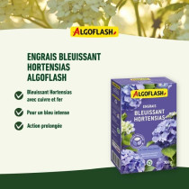 Blue Hydensias fertilizer - Algoflash Naturasol Naturasol - Extended a