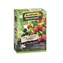 Strawberry fertilizers and berries - Algoflash Naturasol - Long -term