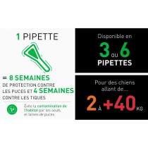 Frontline Combo Dog L 6 pipettes