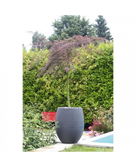 EDA Pot rond Graphit Ø50cm - Contenance 53L - Gris anthracite