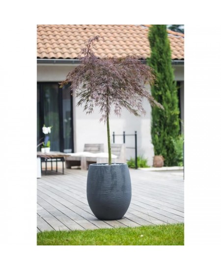 EDA Pot rond Graphit Ø50cm - Contenance 53L - Gris anthracite