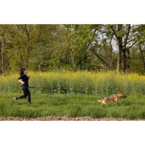 Longe de traction pour chien - INTENSIA - 1.9 m - Double poignée