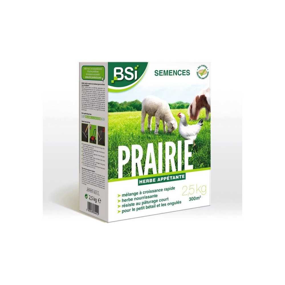 BSI - Grass Seeds - Meadow - High quality - Large Area - Up to 375m²