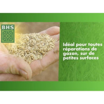 Gazon Réparation Top Dress' - BHS - 500g | 20 m² | Semences enrobée