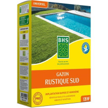 Gazon - BHS - Gazon Rustique Sud - 3kg - Résistant aux conditions sec