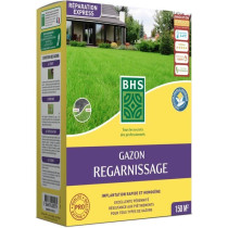 Gazon Regarnissage Terrain Sec - BHS - 3kg | 150 m² | Résistant et d