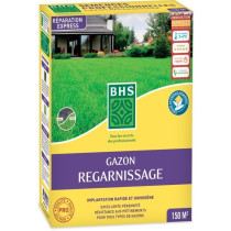 Gazon Regarnissage Terrain Sec - BHS - 3kg | 150 m² | Résistant et d