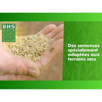 Gazon Regarnissage Terrain Sec - BHS - 3kg | 150 m² | Résistant et d