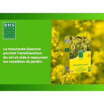 Engrais Verts - BHS - Moutarde Blanche 500g | 100 m² | Améliore et d