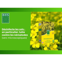 Engrais Verts - BHS - Moutarde Blanche 500g | 100 m² | Améliore et d