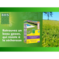 Gazon Regarnissage Terrain Sec - BHS - 1kg | 40 m² | Résistant et du