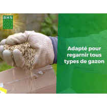 Gazon Regarnissage Terrain Sec - BHS - 1kg | 40 m² | Résistant et du