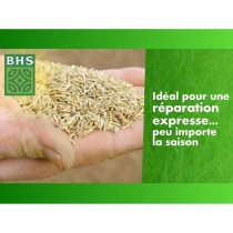 Gazon - BHS - Gazon Regarnissage 4 saisons - 1 Kg