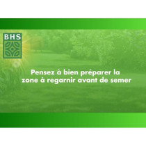 Gazon - BHS - Gazon Regarnissage 4 saisons - 1 Kg