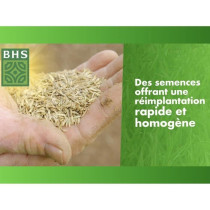 Gazon Regarnissage Terrain Sec - BHS - 1kg | 40 m² | Résistant et du