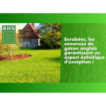 Gazon Anglais - BHS - 10kg pour Jardins Haut de Gamme