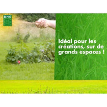 Gazon - BHS - 1er prix Eco - 10 kg