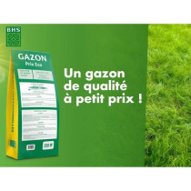 Gazon - BHS - 1er prix Eco - 10 kg