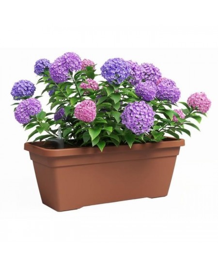 Jardiniere - Plastique - Terre cuite - Rectangulaire - L57,9 x P24,3 x H22cm - ARTEVASI