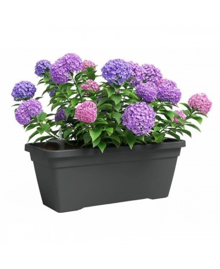 Jardiniere - Plastique - Anthracite - Rectangulaire - L77,9 x P24 x H22cm - ARTEVASI