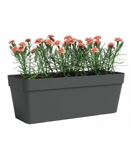 Jardiniere - Plastique - Anthracite - Rectangulaire - L49,9 x P20 x H18,1cm - ARTEVASI