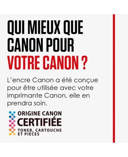 CANON Cartouche d'encre PGI-550 Noir