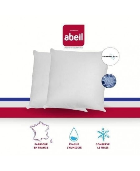 ABEIL Lot de 2 Oreillers moelleux ICEBERG 60x60cm