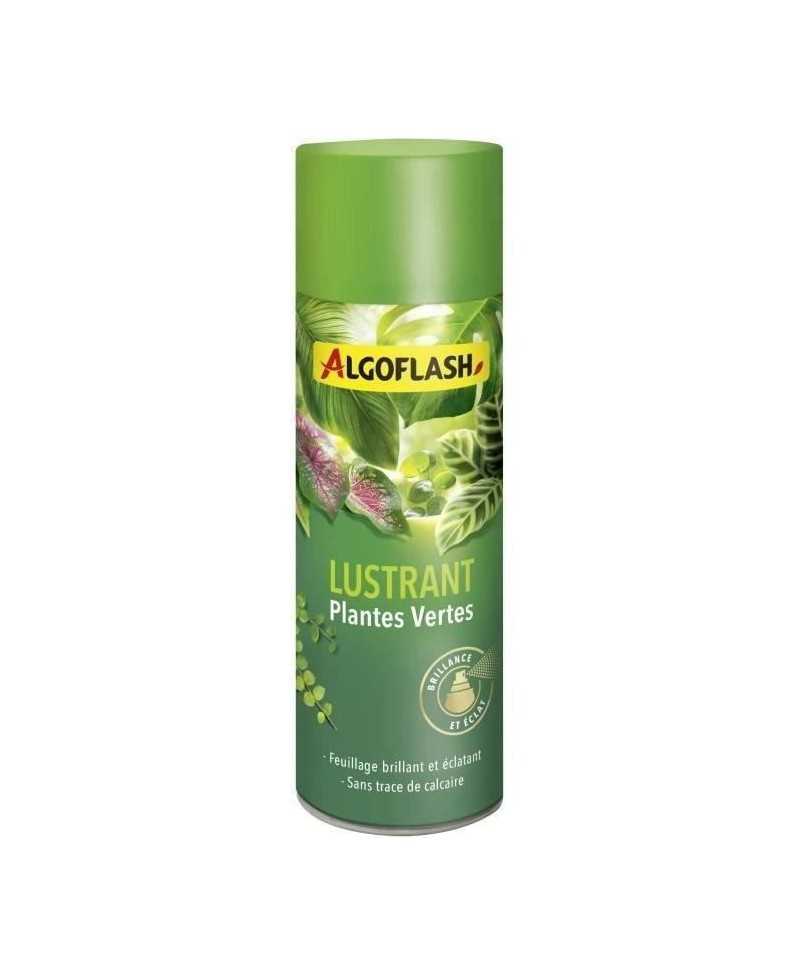 ALGOFLASH - Lustrant Plantes Vertes 250 mL