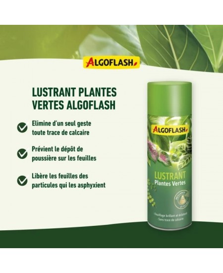 ALGOFLASH - Lustrant Plantes Vertes 250 mL