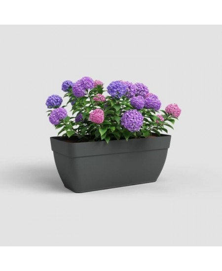 Jardiniere CAPRI CAMPANA XL - Plastique - 80 cm - Anthracite - ARTEVASI