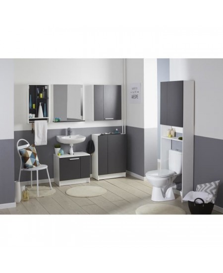 EKIPA Entourage WC 2 portes - Gris ombre et blanc - L 60 x P 22 x 184 cm - VERSA