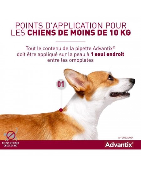 Advantix Chien Solution Antiparasitaire Puces Tiques Répulsif Mouches Moustiques Phlébotomes 1,5 a 4kg 4 pipettes