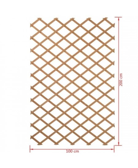 Nature Palissade de jardin 100 x 200 cm Bois Naturel 409346