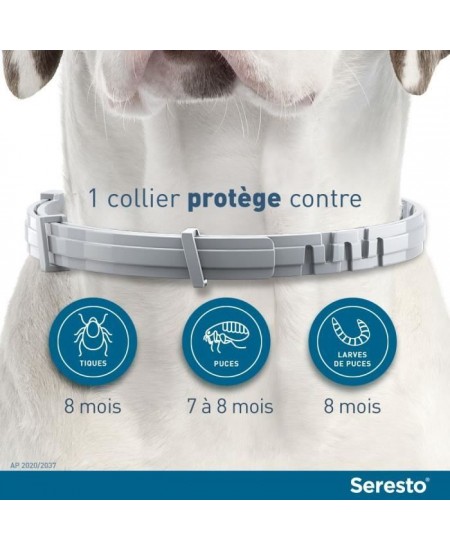 SERESTO Chien Collier Anti-Puces et Anti-Tiques -8kg 1 unité