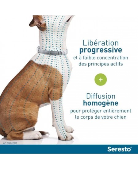 SERESTO Chien Collier Anti-Puces et Anti-Tiques +8kg 1 unité